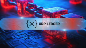 BIS, 공식 통계 자료를 온체인에 고정하기 위한 XRP 원장 테스트 (개념 증명 문서) 8 BIS, 공식 통계 자료를 온체인에 고정하기 위한 XRP 원장 테스트
